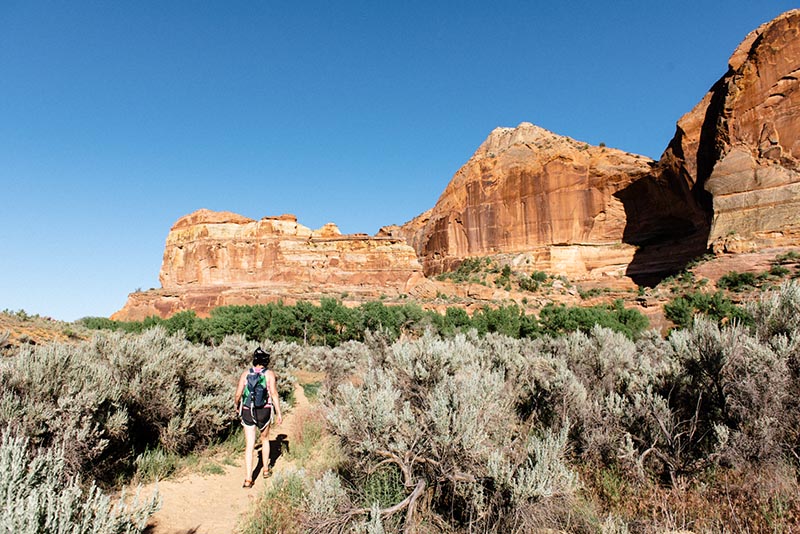 Escalante River Canyon  Utah Trails  Visit Utah