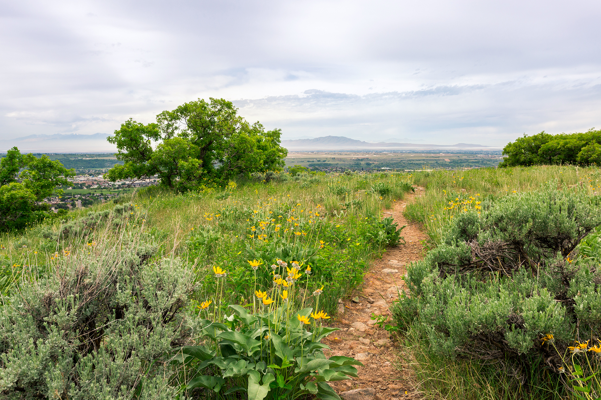 Ogden River Parkway Trail Map Cycling The Centennial Trail | Ogden River Parkway | Visit Utah