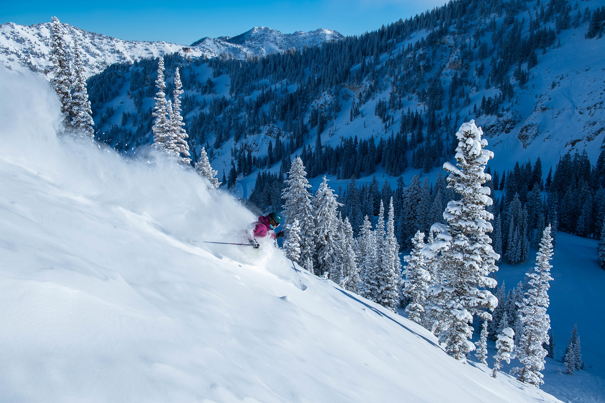 Powder quest: Extreme skiing gets more accessible