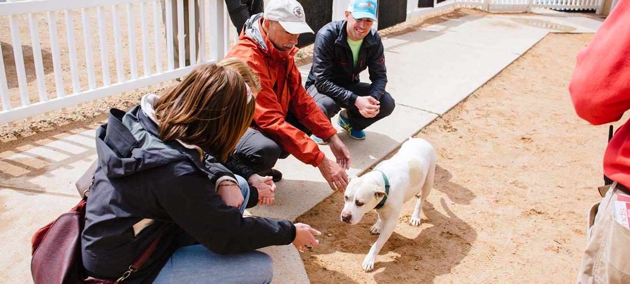 Best Friends Animal Sanctuary In Utah Visit Utah