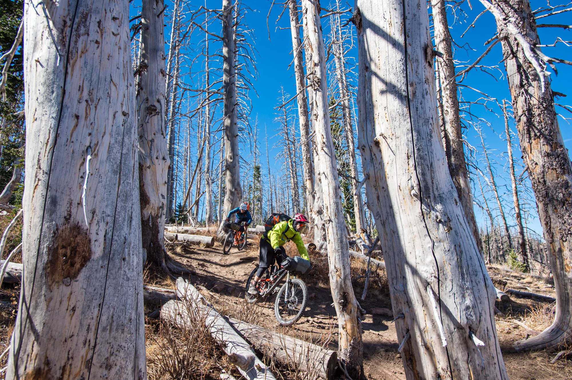 Vertigo summit cheap ladies mountain bike