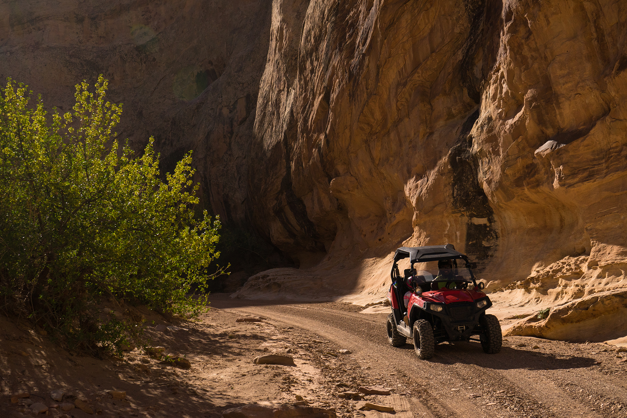 Off-Road Trails: The Best of the Eastern US 