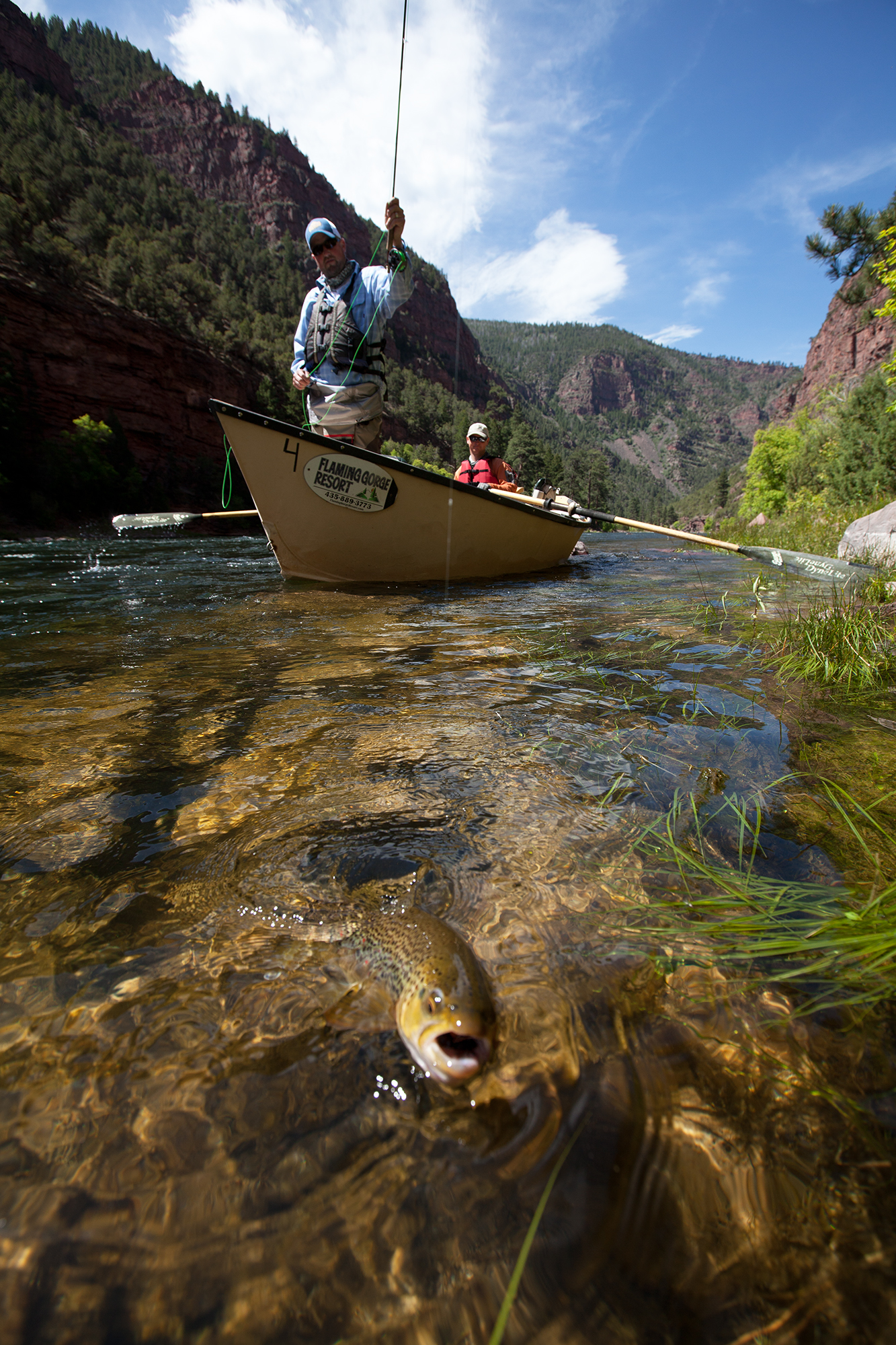Catch and Release Fishing - Fish & Fishing (U.S. National Park