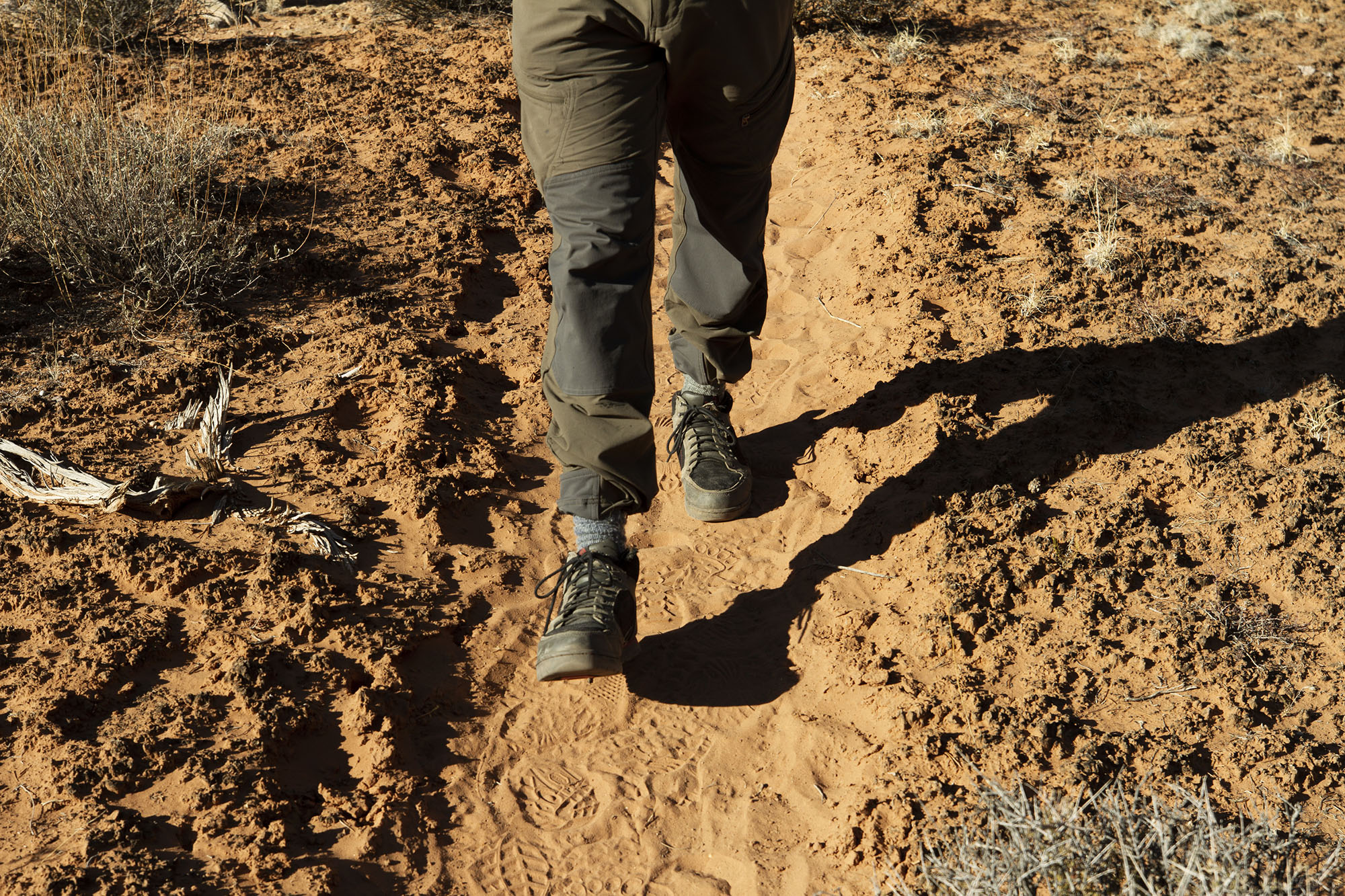 Xtremehorticulture of the Desert: White Crust on Soil Surface Is