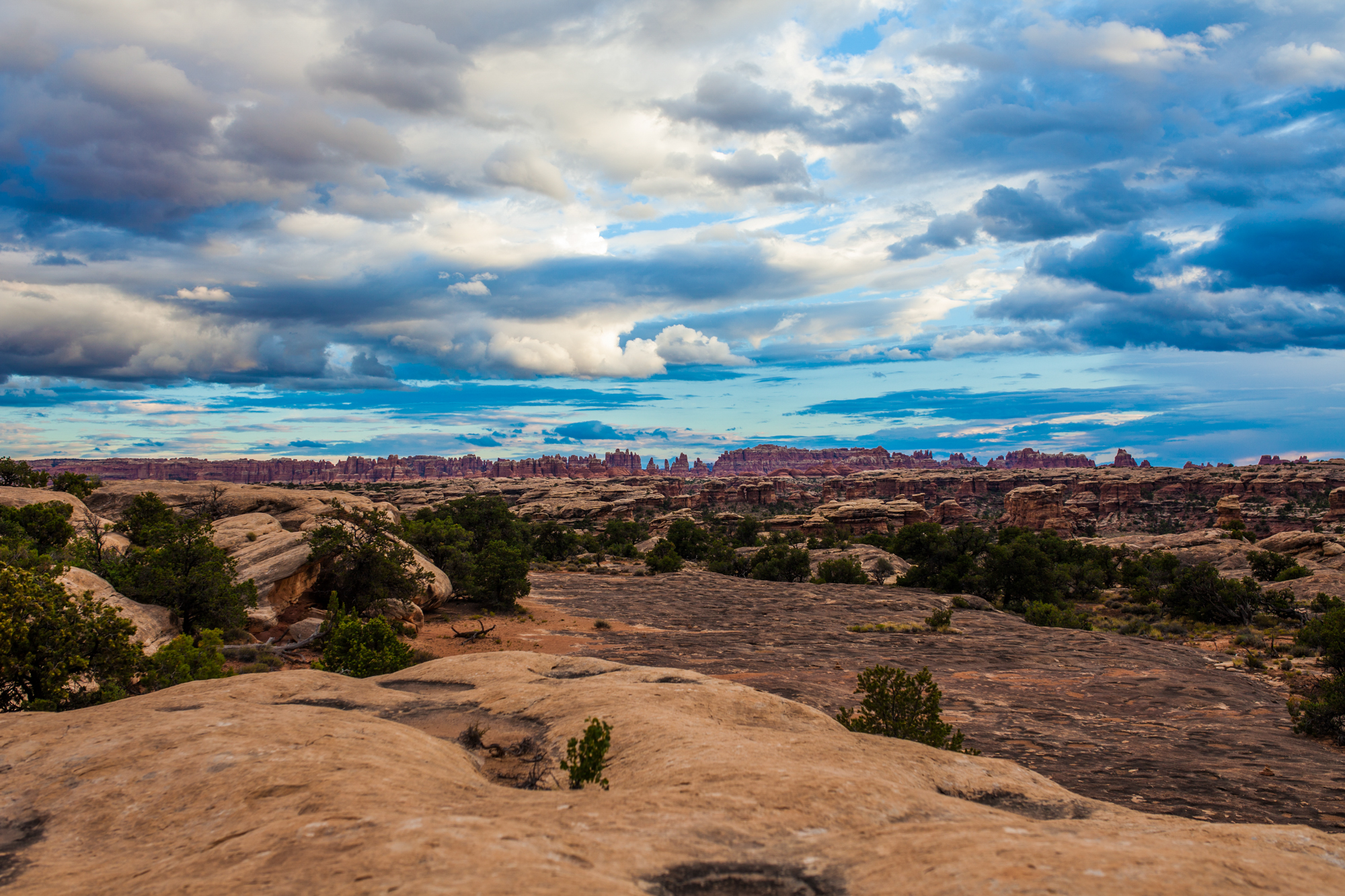 The Needles - Canyonlands National Park (U.S. National Park Service)