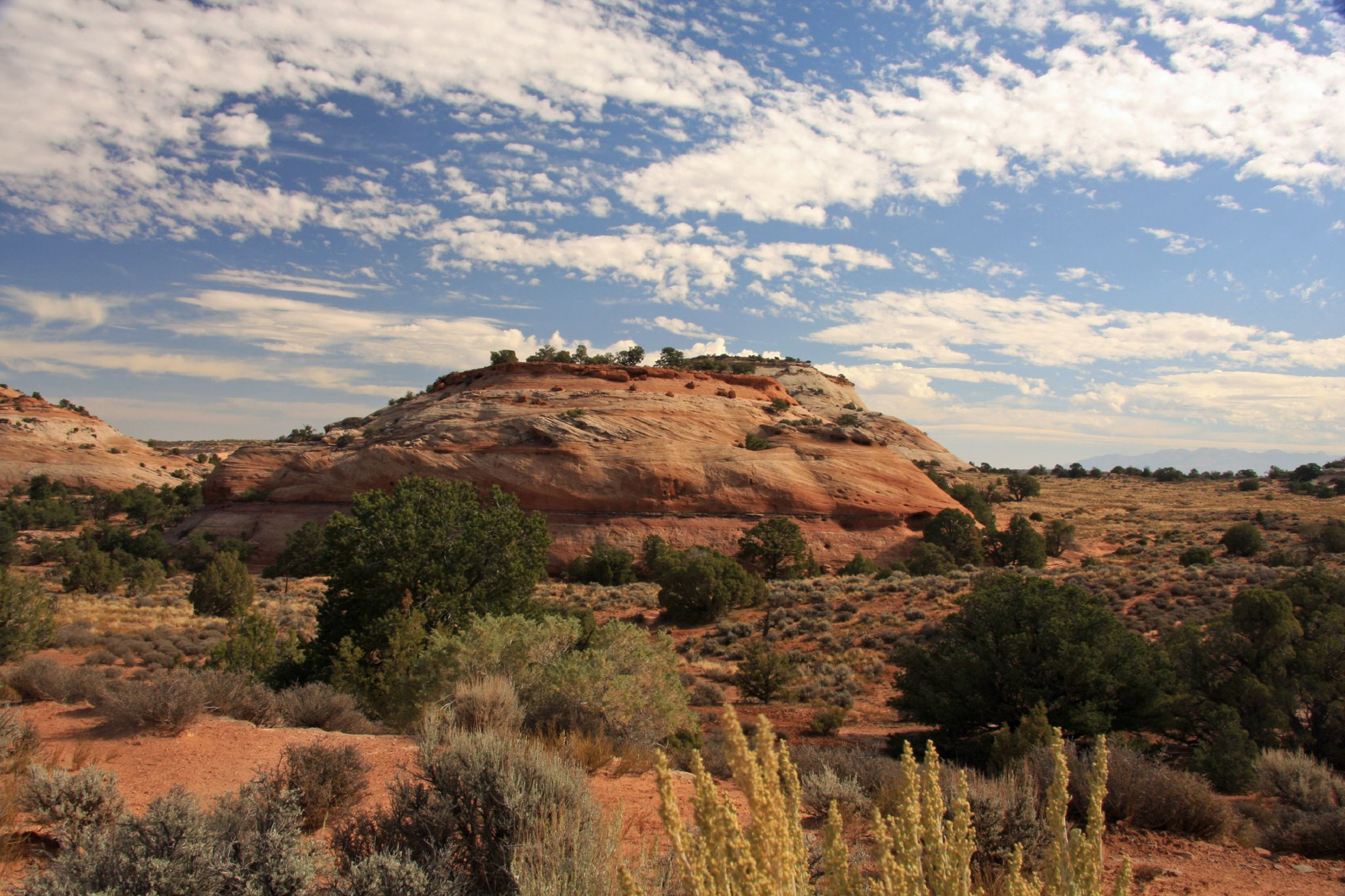 Aztec butte 2025 canyonlands national park