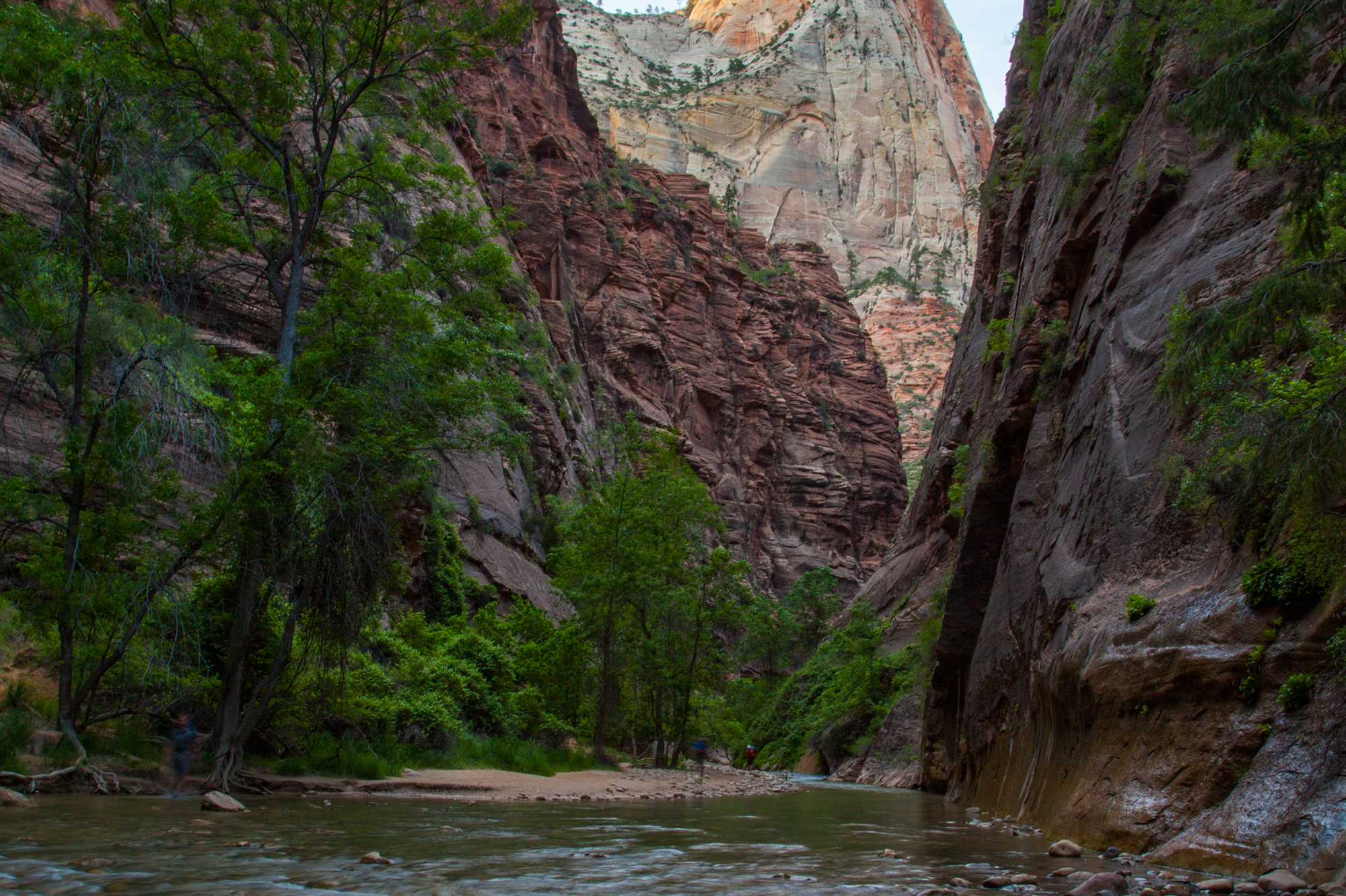 Riverside Walk: Gateway to the Narrows | Easy | Visit Utah