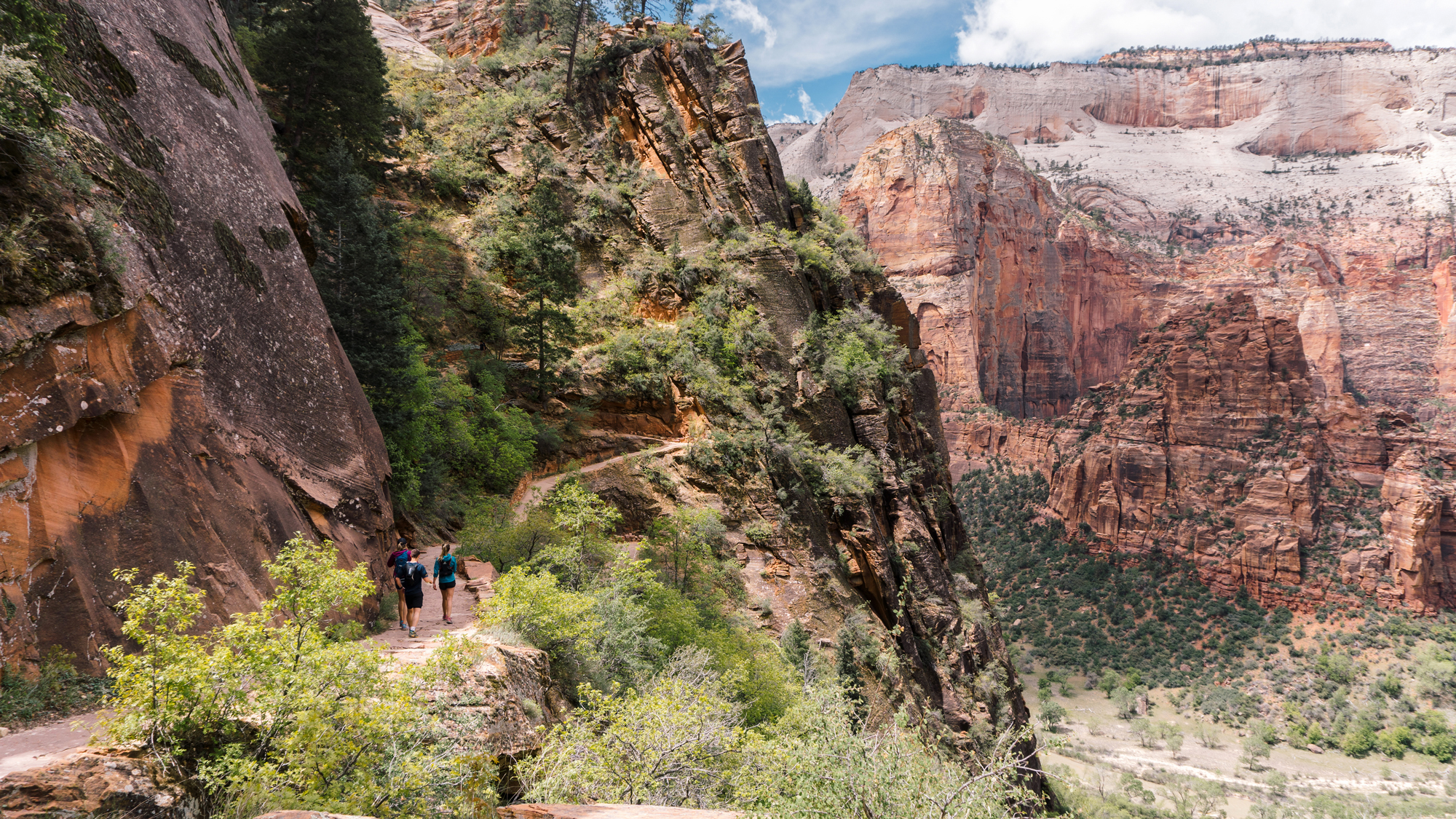 East rim 2025 camp area zion