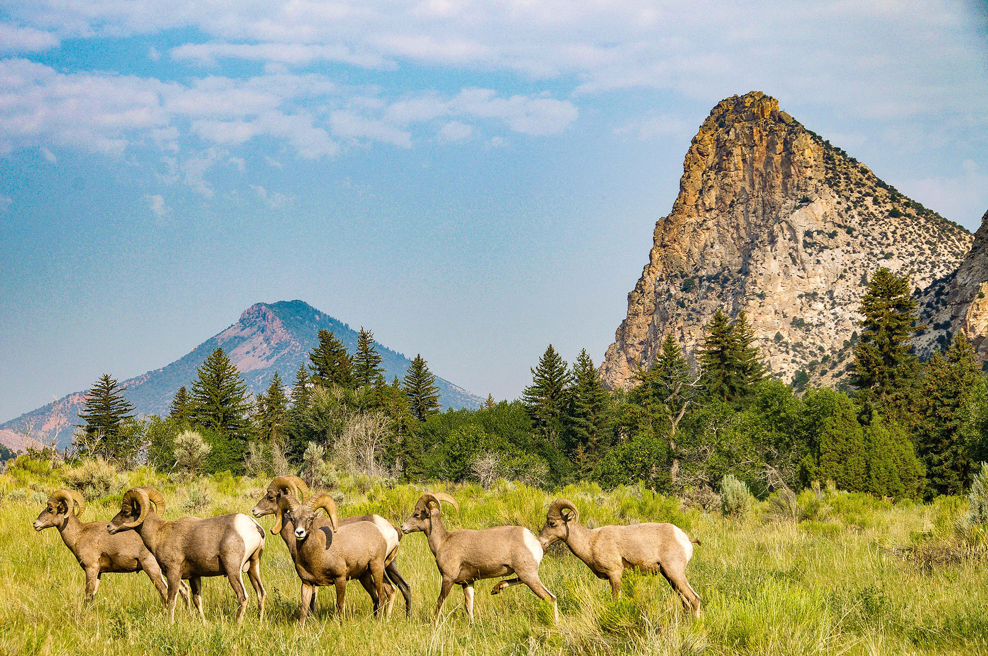 Sheep Creek And Spirit Lake Scenic Backways Visit Utah