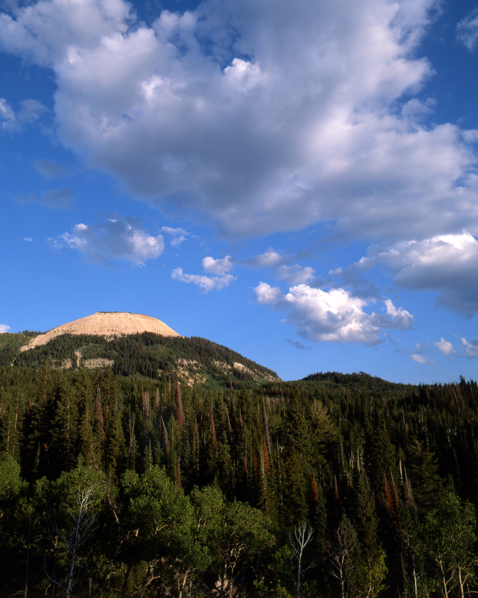 MantiLa Sal National Forest Utah Lakes & Fishing MantiLa Sal National Forest Utah Lakes & Fishing