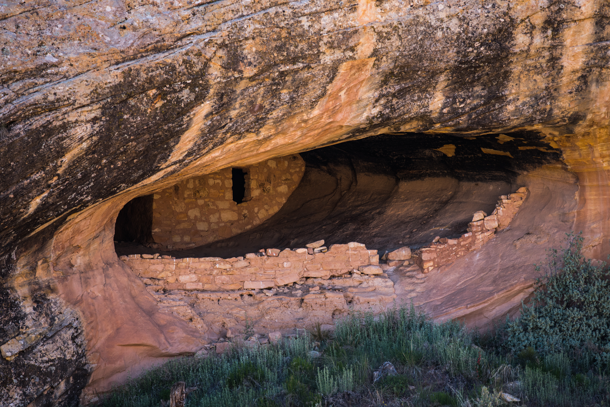 Shash Jaa Bears Ears Utah Cliff Dwellings Utah Visit Utah