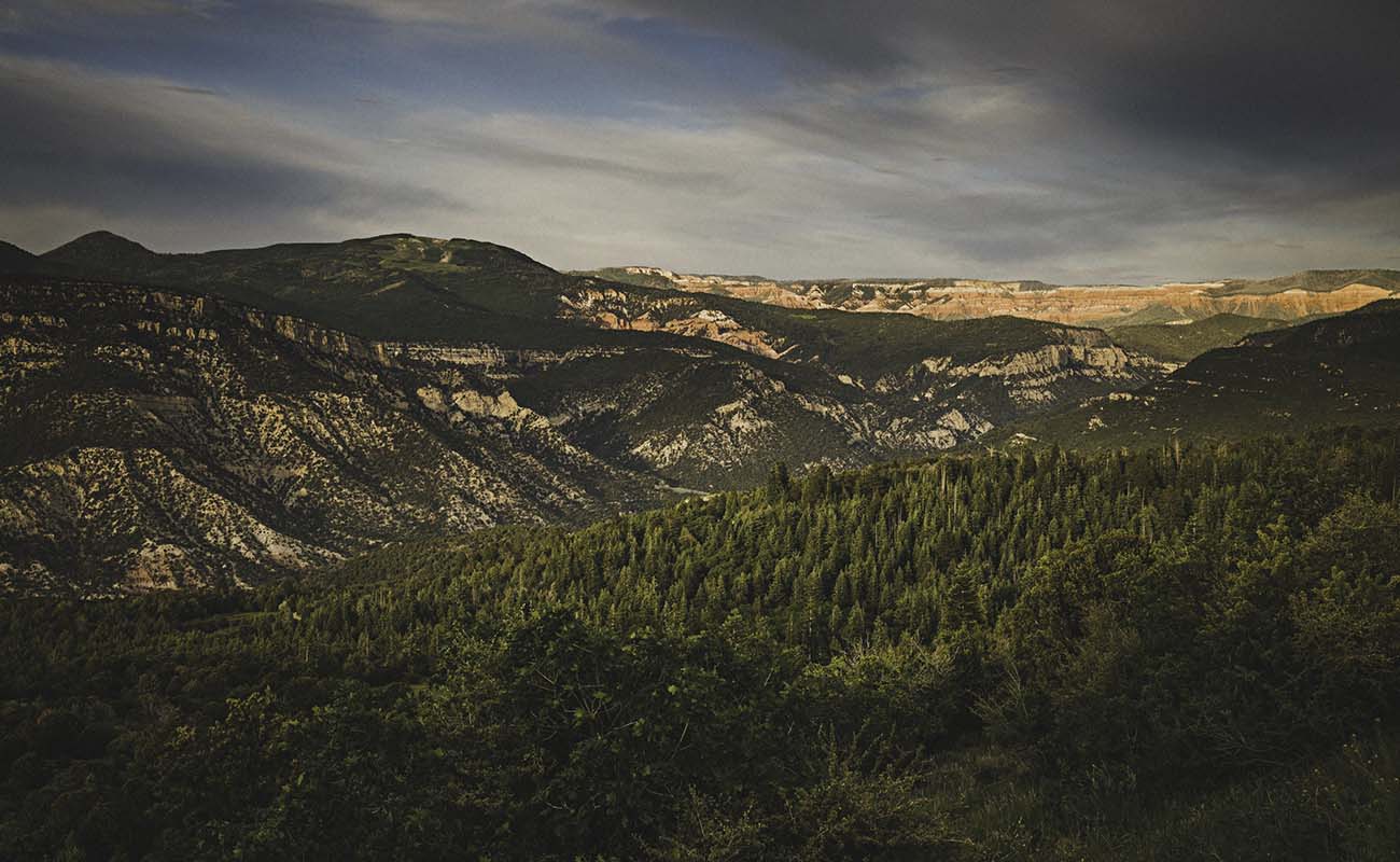 Cedar Canyon State Route 14 | Visit Utah