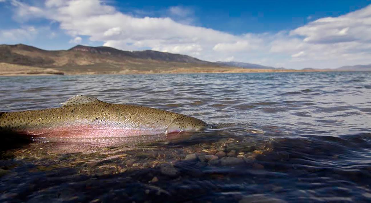 Otter Creek State Park Otter Creek Utah Utah Tourism Visit Utah