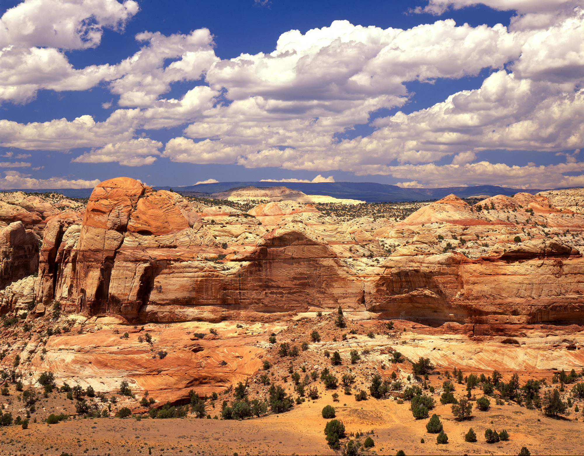 Cottonwood Canyon Narrows Hiking Trail | Visit Utah