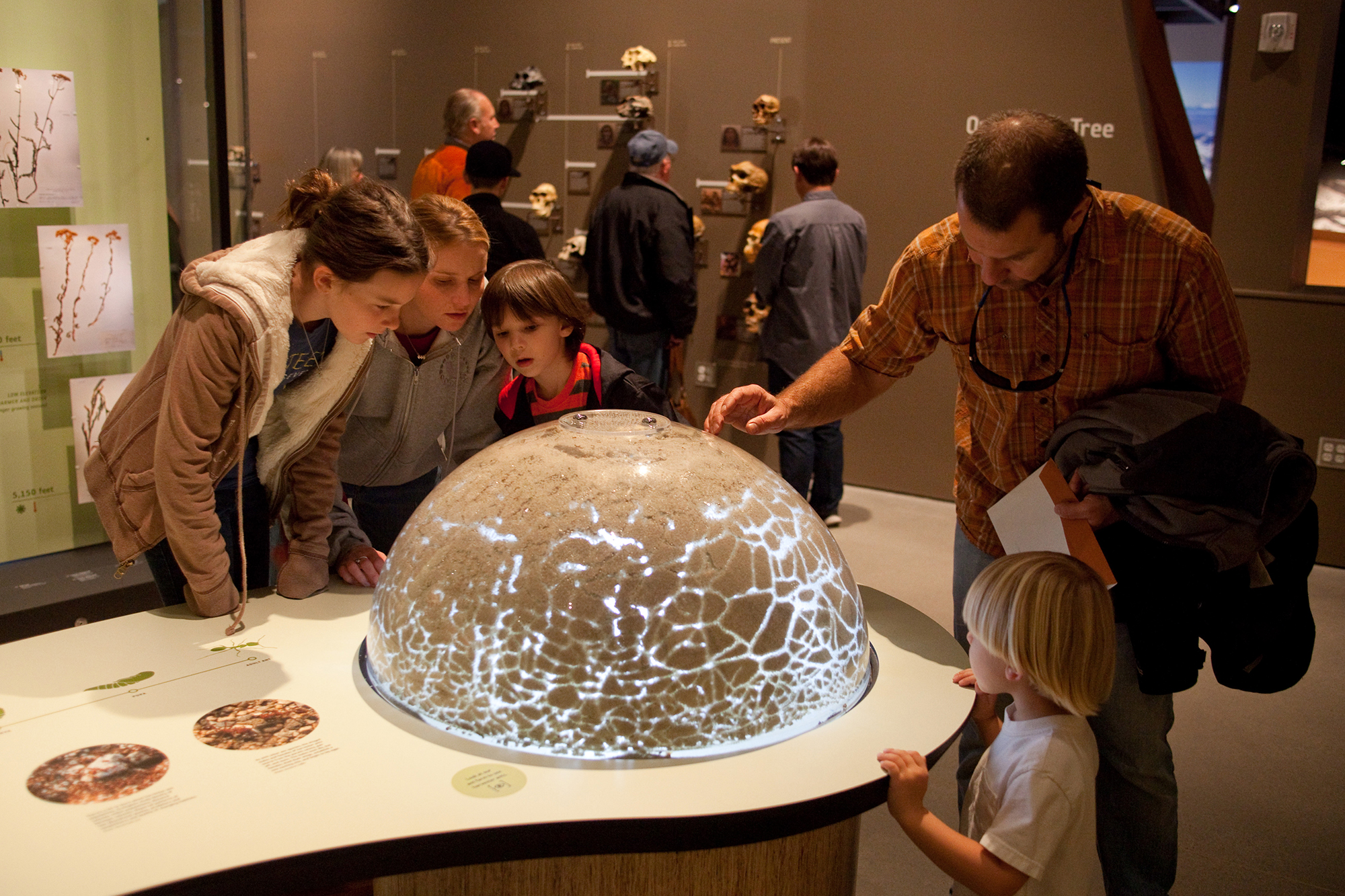 Indoor Activities In Utah For Winter & Rainy Days Visit Utah