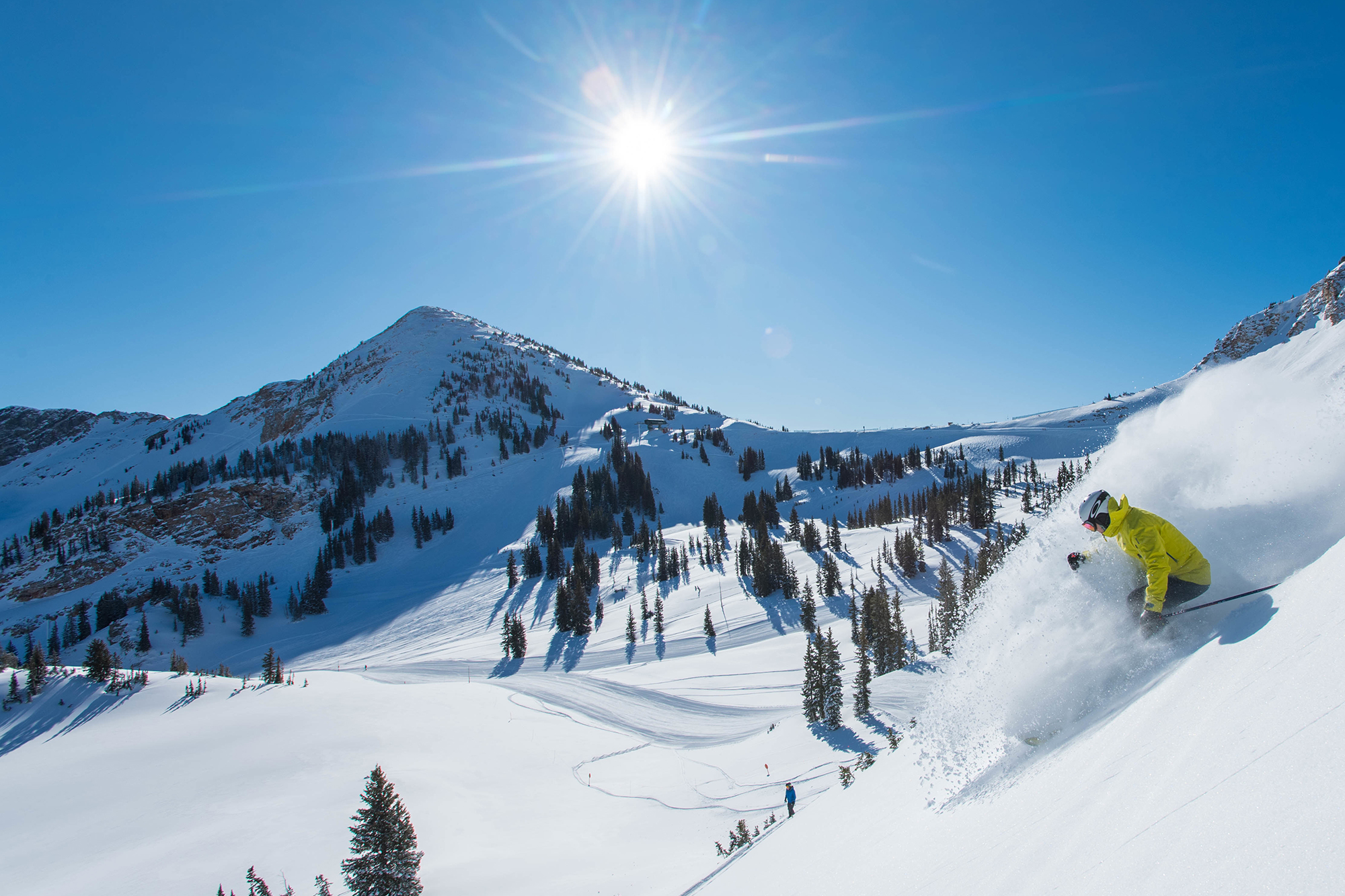Alta Ski Resort Mountains Markewitz Scott 2019 