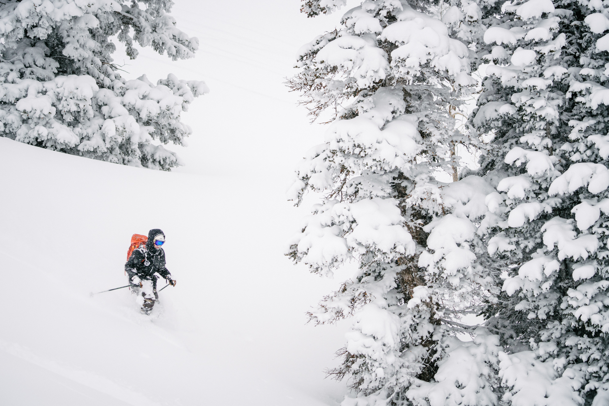 Powder Mountain  Skiing, Maps, Lodging  Visit Utah