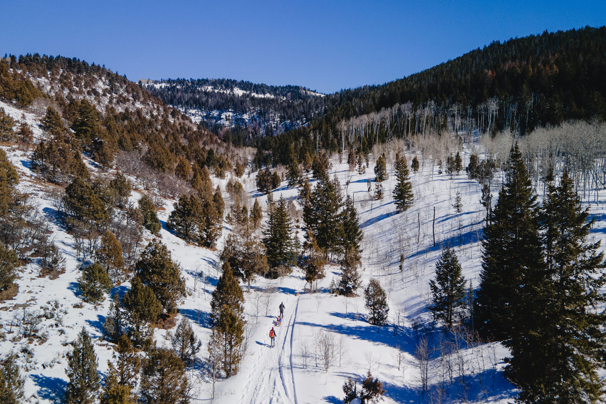 Fresh Tracks in Kamas Utah's Snowcountry Visit Utah