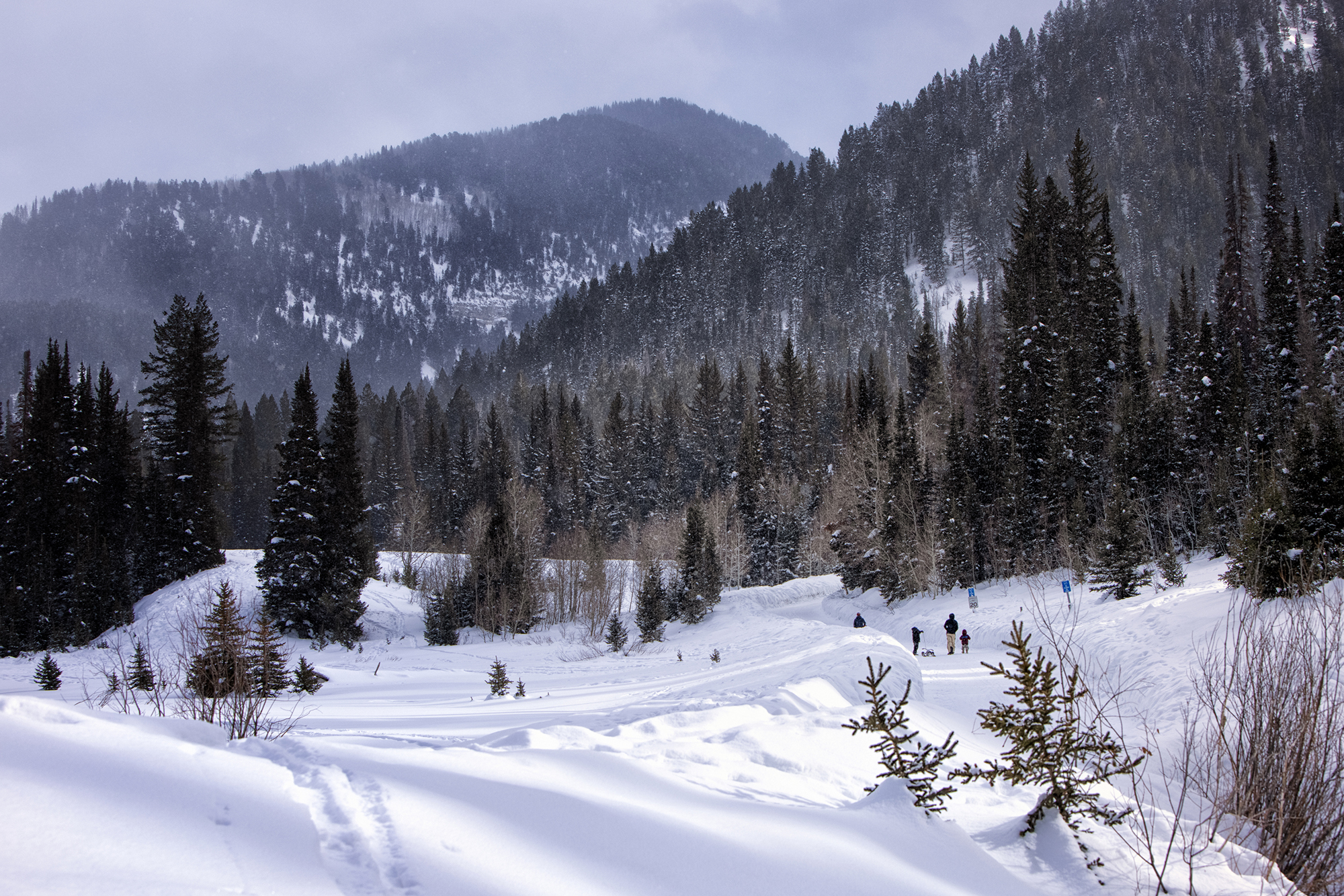 Best Winter Hikes Near Salt Lake City